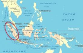 Суматра в Индонезии: интересные места и полезная информация Растения острова суматра