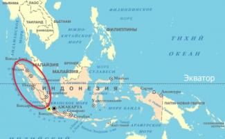 Суматра в Индонезии: интересные места и полезная информация Растения острова суматра